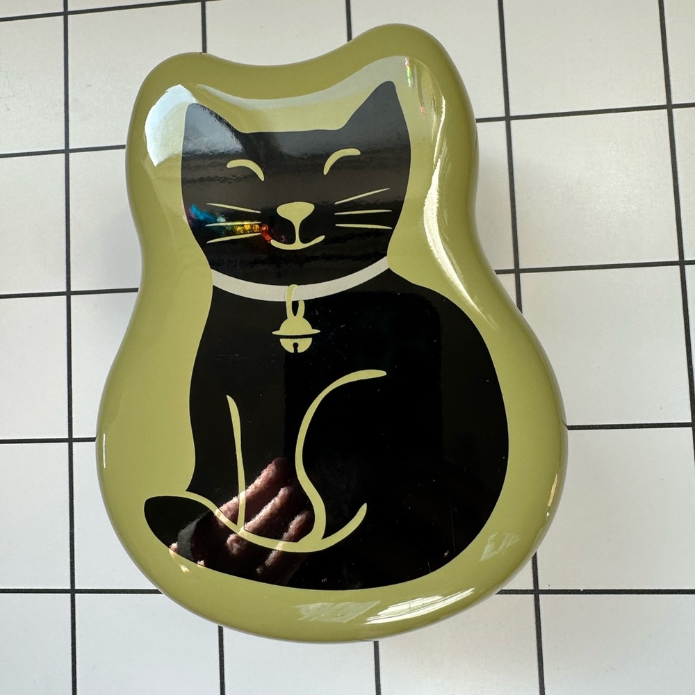 LA Merise made in JAPAN Light Green BENTO Lunch Box. 2 LAYER w/fork. BRAND NEW